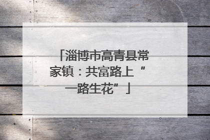 淄博市高青县常家镇：共富路上“一路生花”