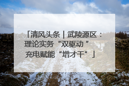 清风头条｜武陵源区：理论实务“双驱动 ” 充电赋能“增才干”