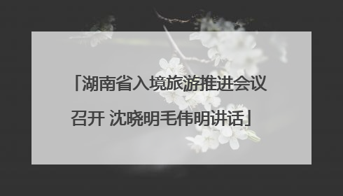 湖南省入境旅游推进会议召开 沈晓明毛伟明讲话