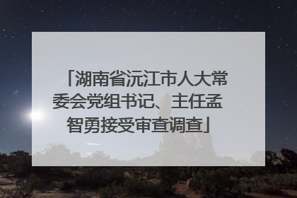 湖南省沅江市人大常委会党组书记、主任孟智勇接受审查调查