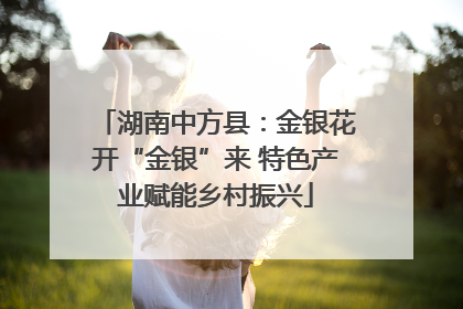湖南中方县：金银花开“金银”来 特色产业赋能乡村振兴