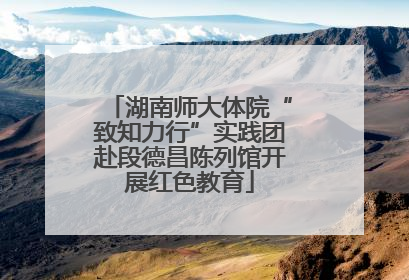 湖南师大体院“致知力行”实践团赴段德昌陈列馆开展红色教育