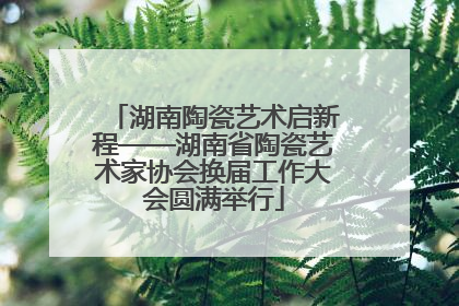 湖南陶瓷艺术启新程——湖南省陶瓷艺术家协会换届工作大会圆满举行