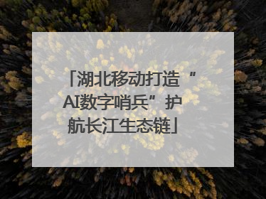 湖北移动打造“AI数字哨兵”护航长江生态链