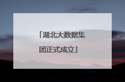 湖北大数据集团正式成立