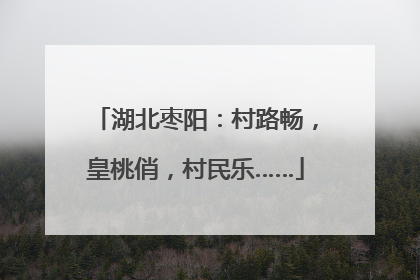 湖北枣阳：村路畅，皇桃俏，村民乐……