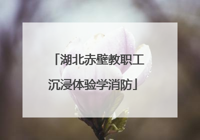 湖北赤壁教职工沉浸体验学消防