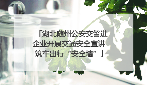 湖北随州公安交警进企业开展交通安全宣讲筑牢出行“安全墙”