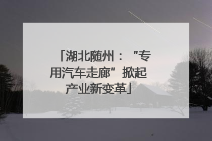 湖北随州：“专用汽车走廊”掀起产业新变革