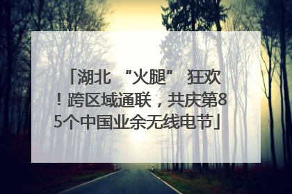 湖北 “火腿” 狂欢！跨区域通联，共庆第85个中国业余无线电节
