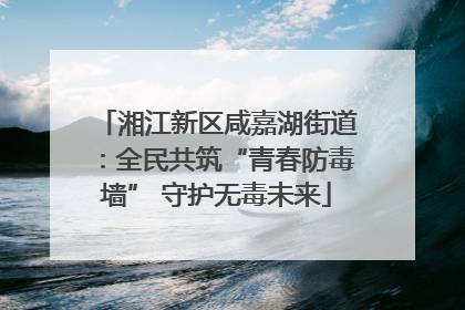 湘江新区咸嘉湖街道：全民共筑“青春防毒墙” 守护无毒未来