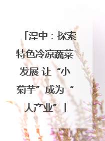 湟中：探索特色冷凉蔬菜发展 让“小菊芋”成为“大产业”