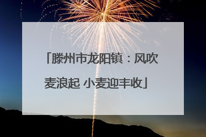 滕州市龙阳镇：风吹麦浪起 小麦迎丰收