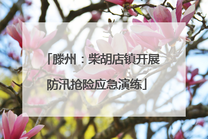 滕州：柴胡店镇开展防汛抢险应急演练