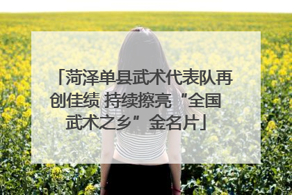 菏泽单县武术代表队再创佳绩 持续擦亮“全国武术之乡”金名片