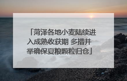 菏泽各地小麦陆续进入成熟收获期 多措并举确保夏粮颗粒归仓