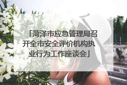 菏泽市应急管理局召开全市安全评价机构执业行为工作座谈会