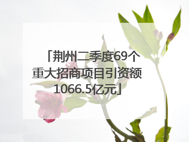 荆州二季度69个重大招商项目引资额1066.5亿元