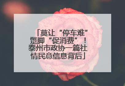 莫让“停车难”蹩脚“促消费”！泰州市政协一篇社情民意信息背后