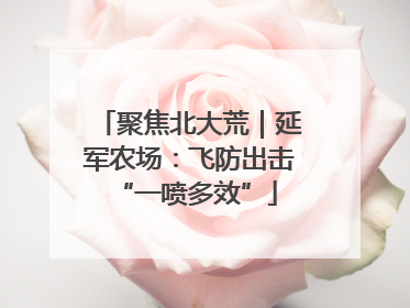 聚焦北大荒｜延军农场：飞防出击 “一喷多效”