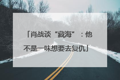 肖战谈“藏海”：他不是一味想要去复仇
