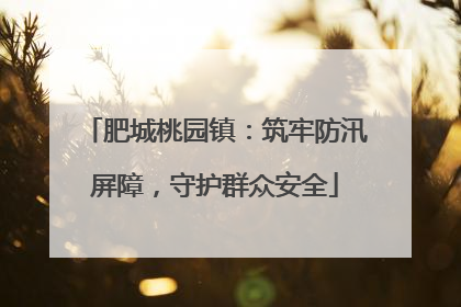 肥城桃园镇：筑牢防汛屏障，守护群众安全