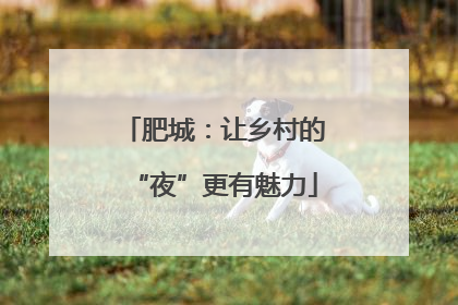 肥城：让乡村的“夜”更有魅力