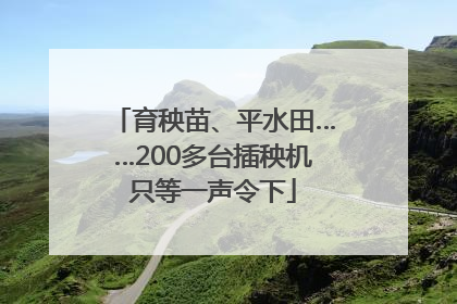 育秧苗、平水田……200多台插秧机只等一声令下