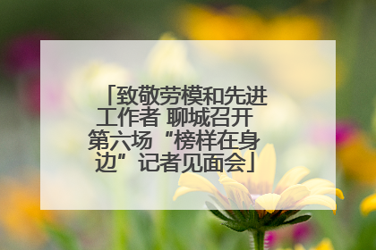 致敬劳模和先进工作者 聊城召开第六场“榜样在身边”记者见面会