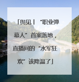 舆见丨“职业弹幕人”首案落地，直播间的“水军狂欢”该降温了