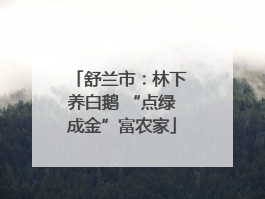 舒兰市：林下养白鹅 “点绿成金”富农家