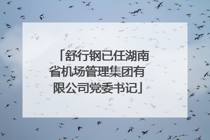 舒行钢已任湖南省机场管理集团有限公司党委书记