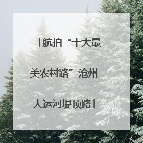 航拍“十大最美农村路”沧州大运河堤顶路