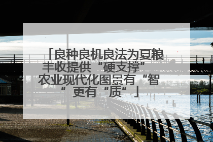 良种良机良法为夏粮丰收提供“硬支撑” 农业现代化图景有“智”更有“质”