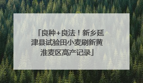 良种+良法！新乡延津县试验田小麦刷新黄淮麦区高产记录