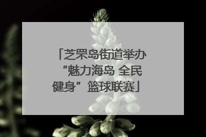 芝罘岛街道举办“魅力海岛 全民健身”篮球联赛