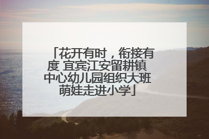 花开有时，衔接有度 宜宾江安留耕镇中心幼儿园组织大班萌娃走进小学