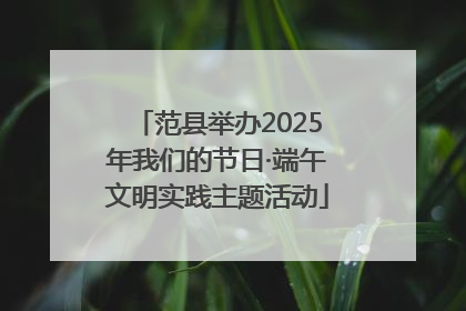 范县举办2025年我们的节日·端午文明实践主题活动