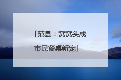 范县：窝窝头成市民餐桌新宠