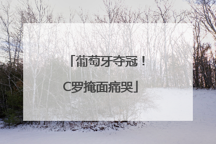 葡萄牙夺冠！C罗掩面痛哭