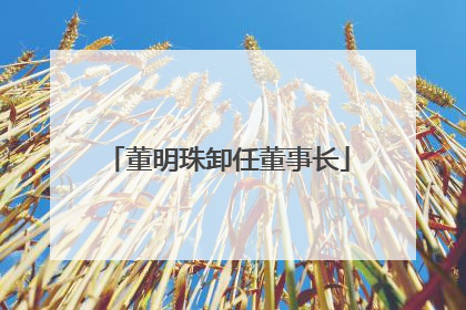董明珠卸任董事长