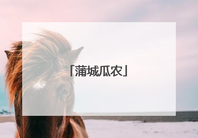 蒲城瓜农