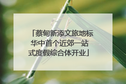 蔡甸新添文旅地标 华中首个近郊一站式度假综合体开业