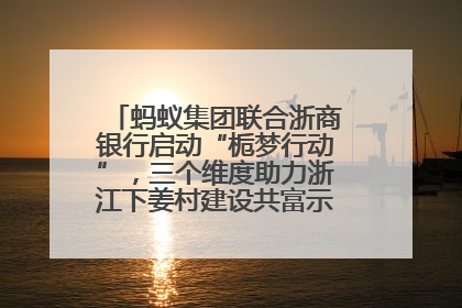 蚂蚁集团联合浙商银行启动“栀梦行动”，三个维度助力浙江下姜村建设共富示范区示范点