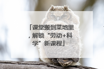 课堂搬到菜地里，解锁“劳动+科学”新课程