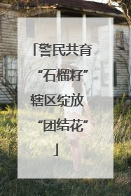 警民共育“石榴籽” 辖区绽放“团结花”