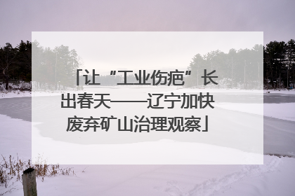 让“工业伤疤”长出春天——辽宁加快废弃矿山治理观察