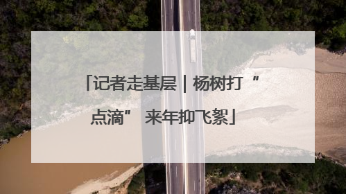 记者走基层｜杨树打“点滴” 来年抑飞絮