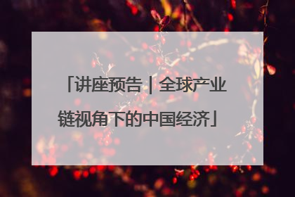 讲座预告｜全球产业链视角下的中国经济