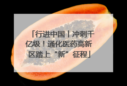 行进中国丨冲刺千亿级！通化医药高新区踏上“新”征程